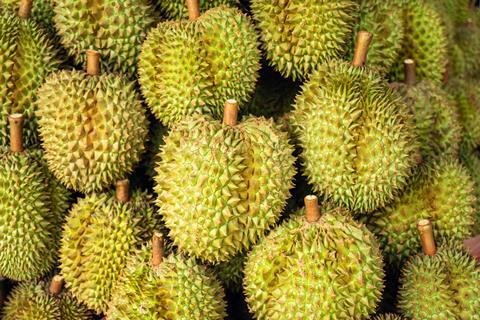 Thailand Launches Coordinated Push to Expand Fruit Exports Amid Global Competition