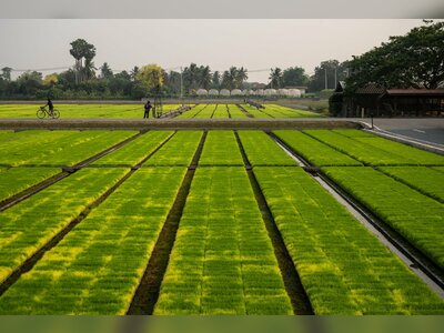 Middle East Conflict Ripples Through Fertilizer Markets, Raising Pressure on Asia’s Food System