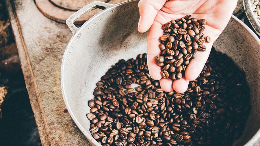 Vietnam Expands Coffee Trade Push as Exports to Thailand Surge 22.5%