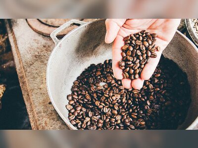 Vietnam Expands Coffee Trade Push as Exports to Thailand Surge 22.5%