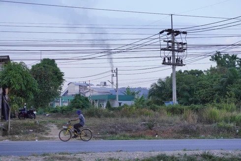 Thailand’s Biomass Energy Expansion Collides With Pollution, Poverty and Policy Trade-Offs
