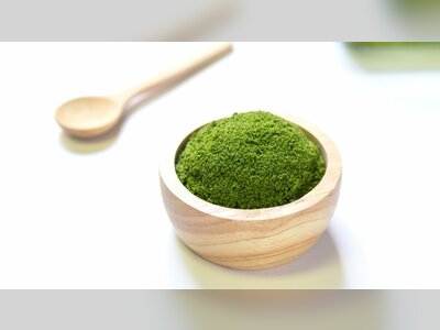 Thai Watermeal Emerges as ‘Green Gold’ in Push for Future Food Systems