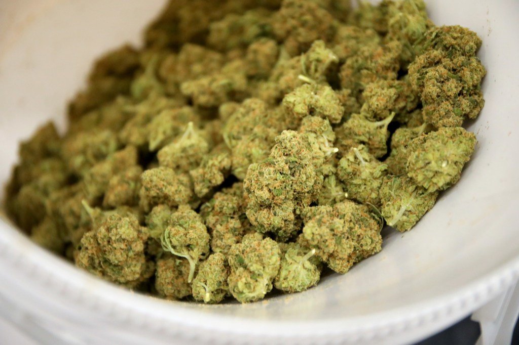 Thailand Tightens Medical Cannabis Rules as Government Moves to Rein in Retail Sales