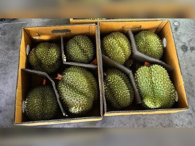 Thailand Tightens Durian Quality Rules as 150-Billion-Baht Export Industry Faces Rising Pressure