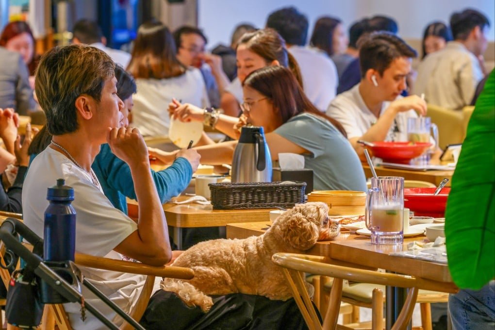 Hong Kong’s Dog-Friendly Restaurant Scheme Draws Surge of 700 Applications on Launch Day