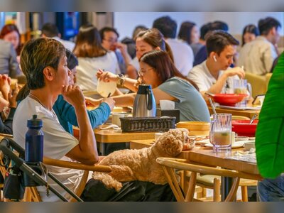 Hong Kong’s Dog-Friendly Restaurant Scheme Draws Surge of 700 Applications on Launch Day