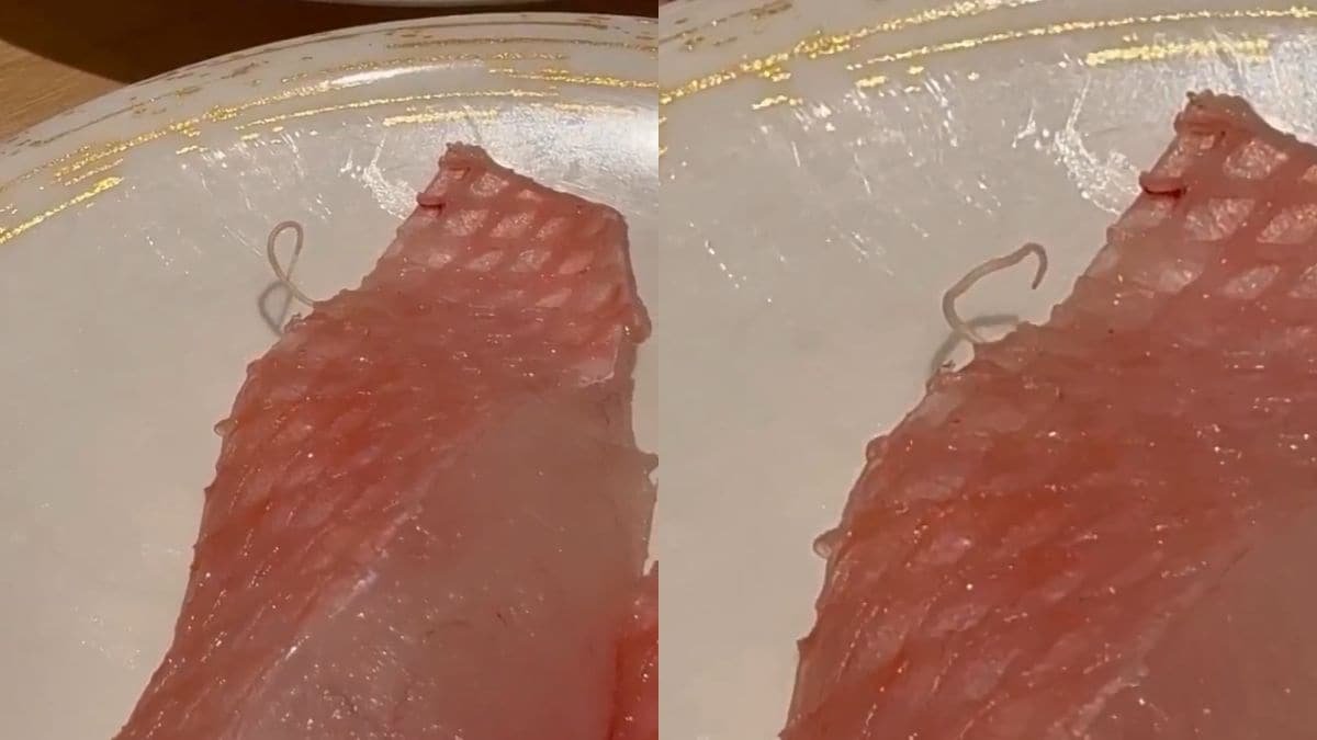 Parasite found in sushi triggers food safety probe at Hong Kong restaurant
