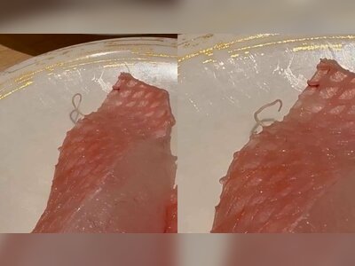 Parasite found in sushi triggers food safety probe at Hong Kong restaurant