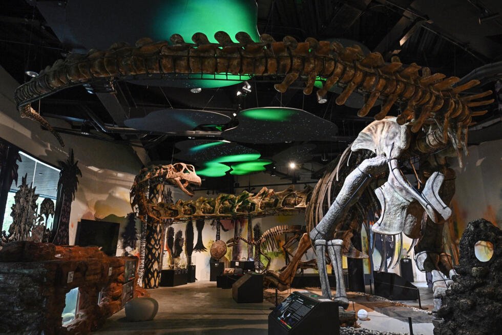 Thailand Confirms Giant Dinosaur Discovery, Redrawing Southeast Asia’s Prehistoric Map