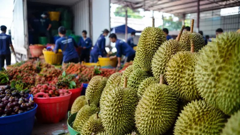 Thailand Fruit Exports Rebound as Durian Surge Drives Sharp Recovery in April Trade