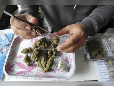 Thailand’s Medical Cannabis Rules Face Enforcement Gaps as Clinics and Regulators Clash