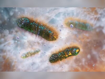 Concern: Sexually Transmitted Bacterium Among Men Develops Antibiotic Resistance